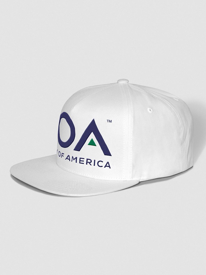 ROA Snapback Cap product image (2)