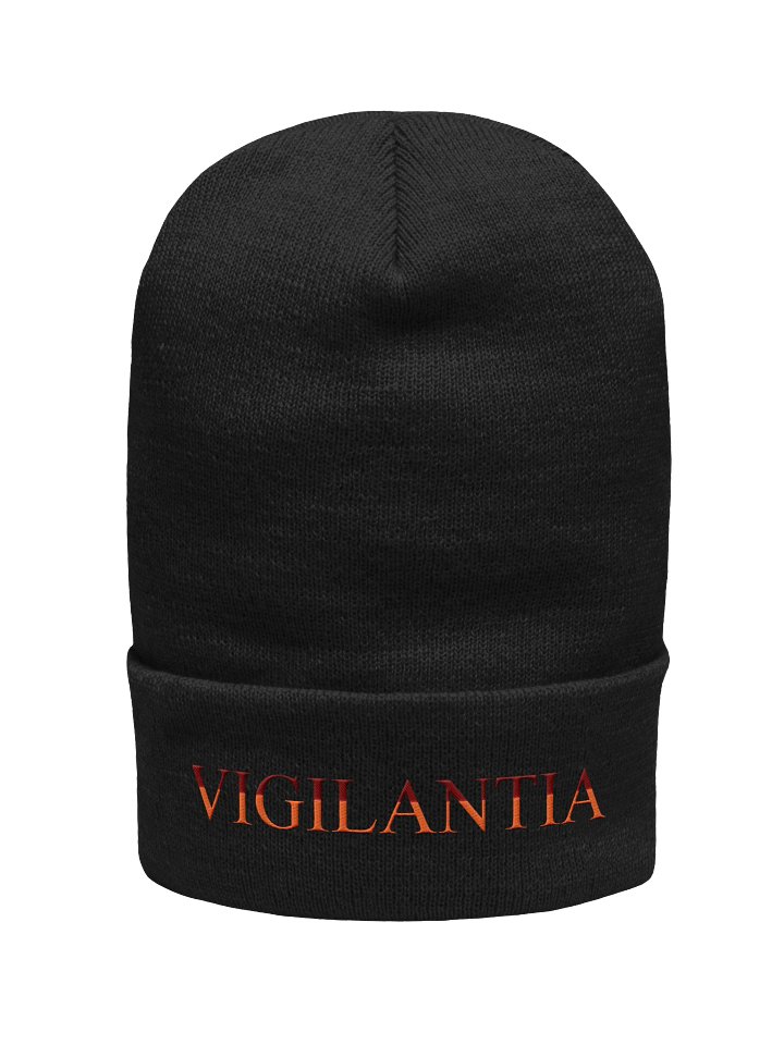 Vigilantia Beanie product image (1)