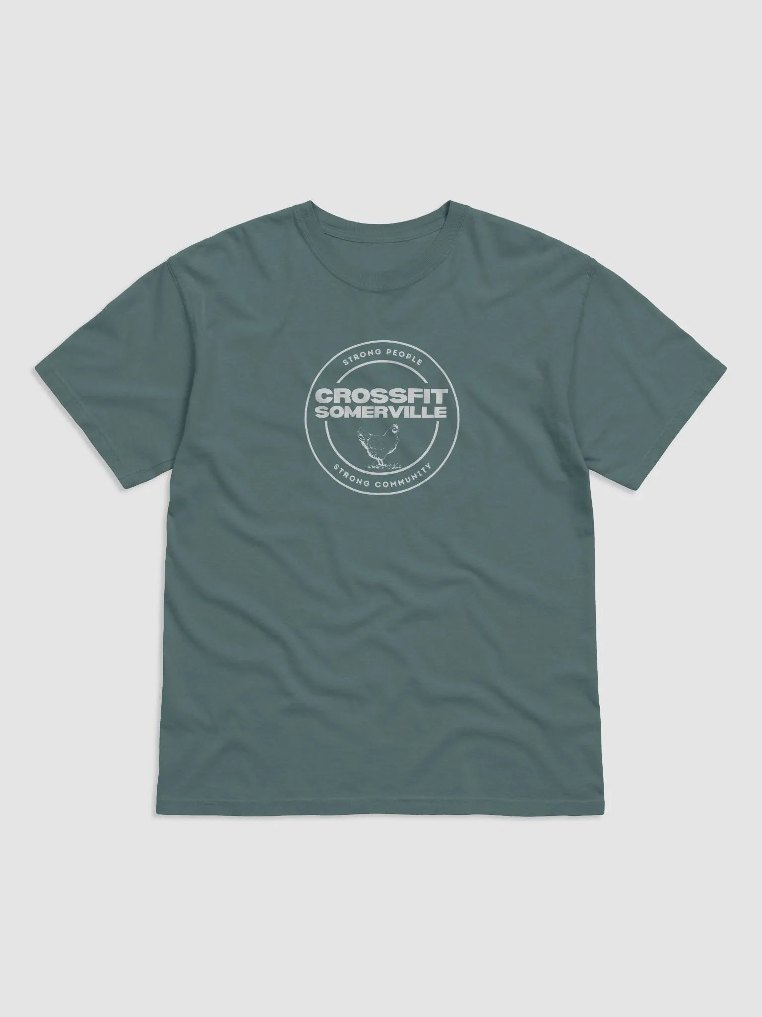 CFSV Classic T-Shirt (Comfort Colors) product image (2)