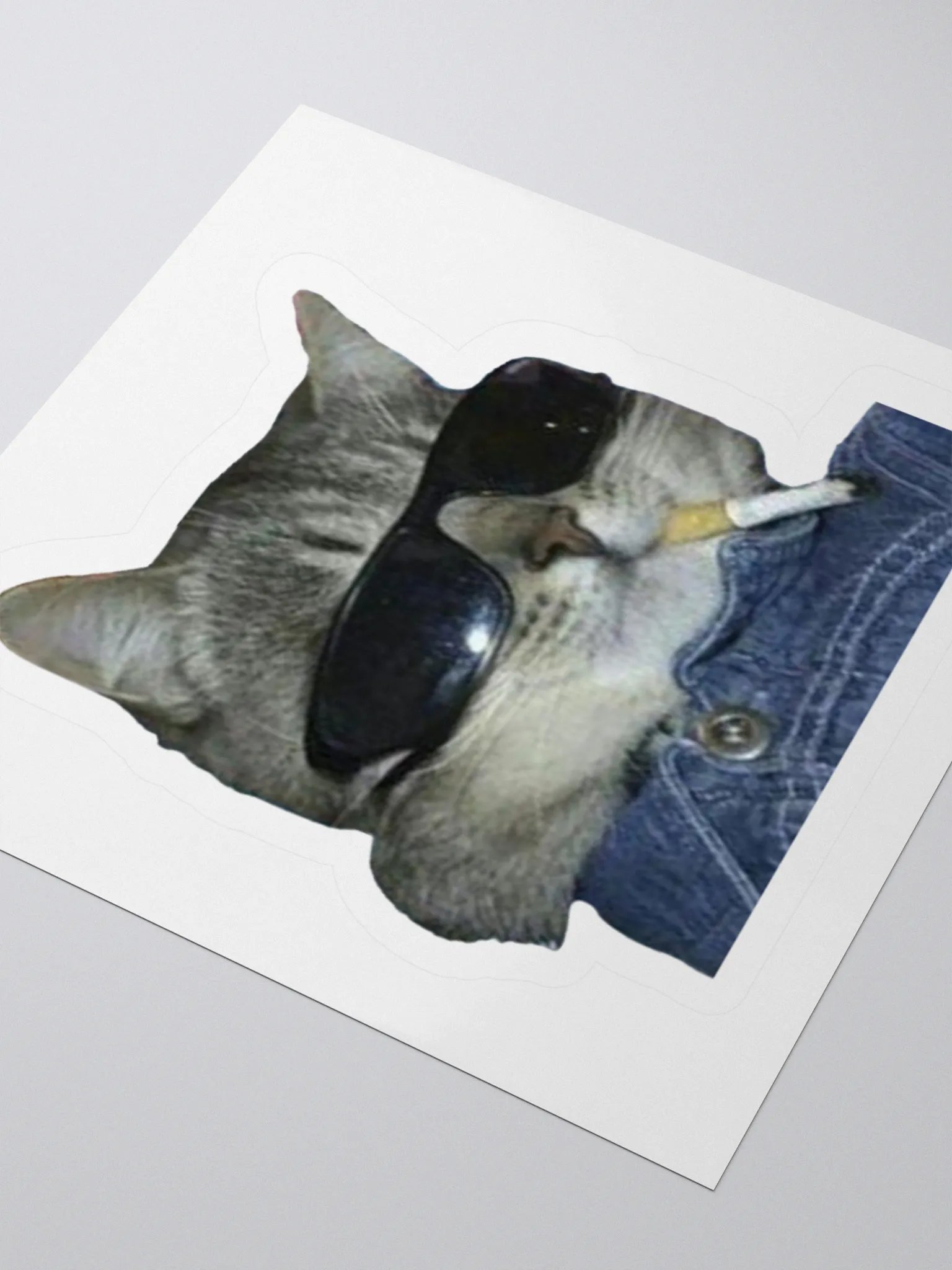 Cool Cat Sticker product image (9)