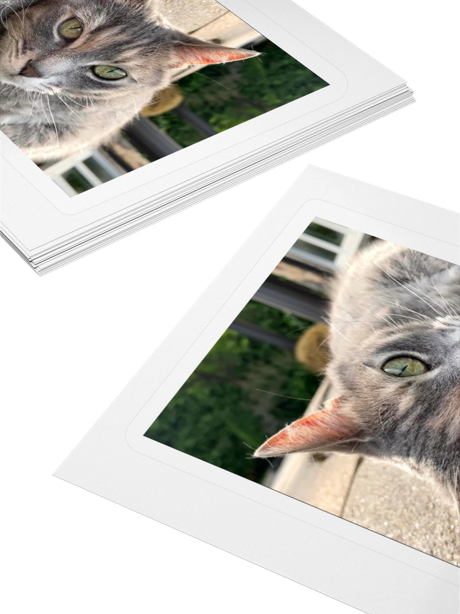 Nova with background product image (4)