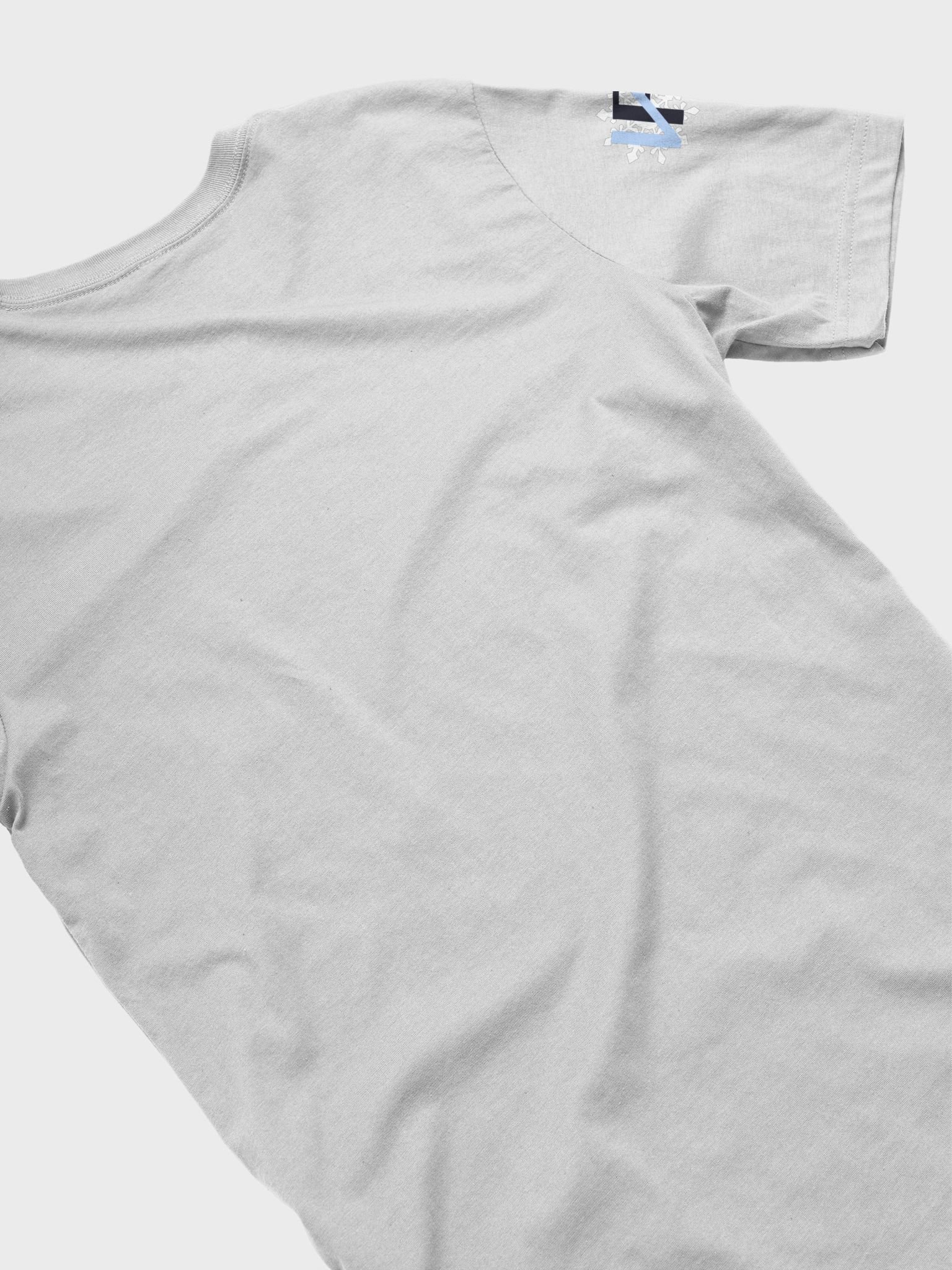 Wholesome T - Grey scale product image (7)