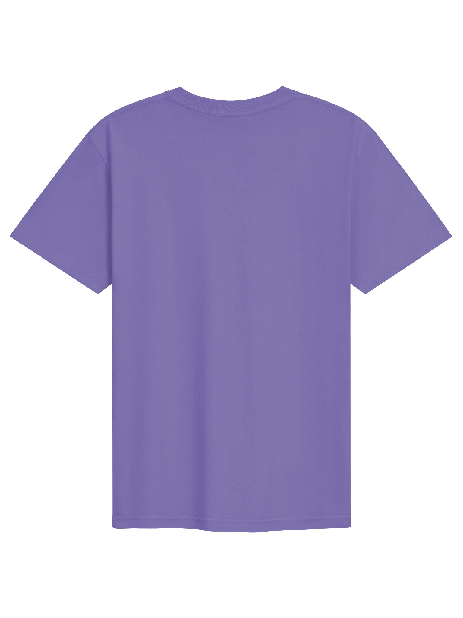 T-Shirt Jade Plant With Music Notes product image (8)