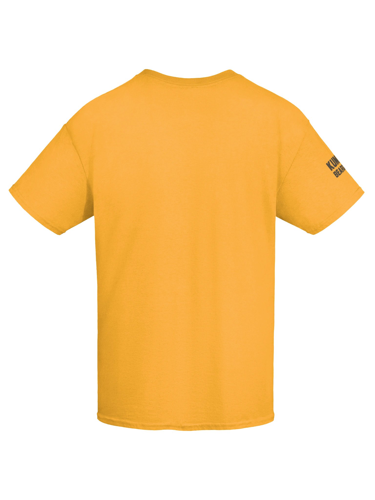 Beargguy T-Shirt product image (37)