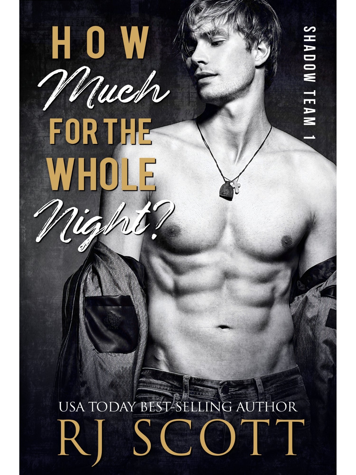 How Much For The Whole Night? (Shadow Team 1) - paperback product image (2)