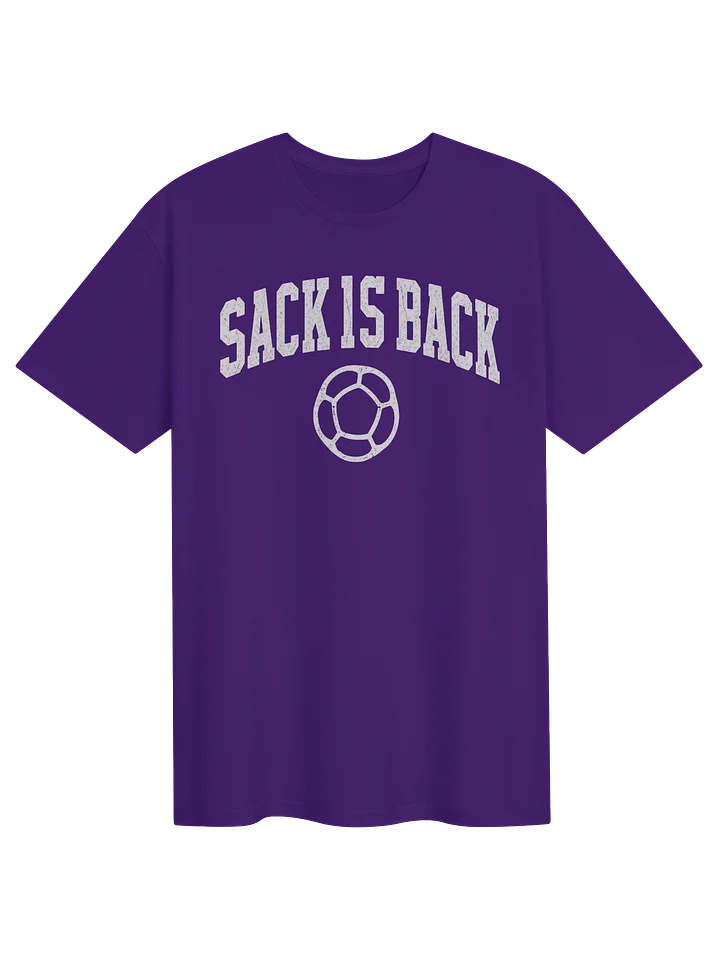 Sack is Back Tee | Hacky Sack T-Shirt product image (51)