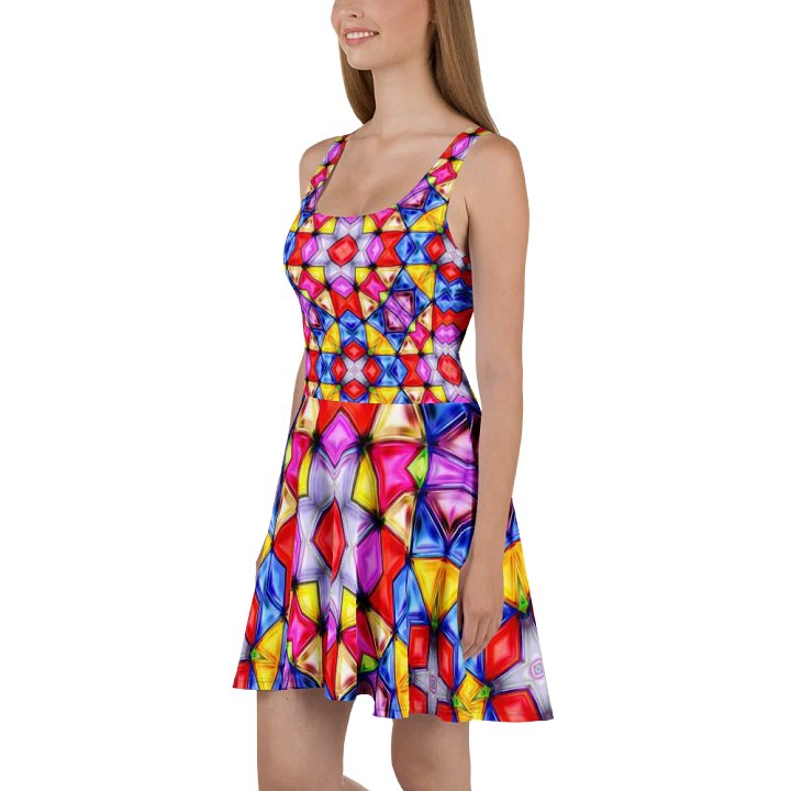 Barry Grady 'Vibrant' Skater Dress product image (1)