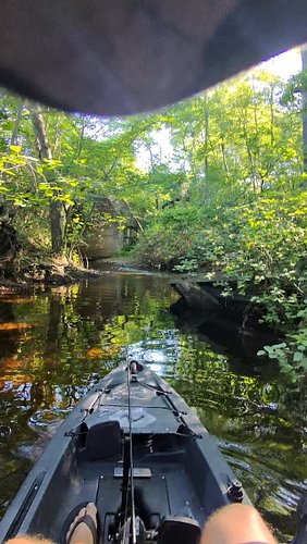 Went and did a little exploring today while fishing! It was a gorgeous day to do so. Sometimes just have to take it all in. #...