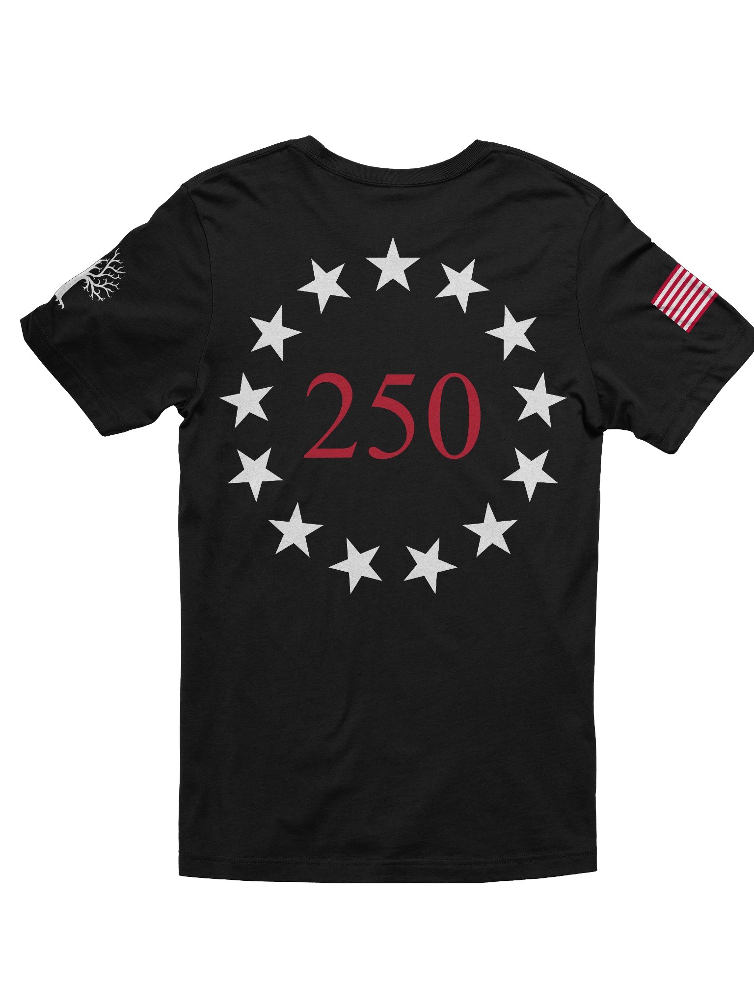 America 250 product image (2)