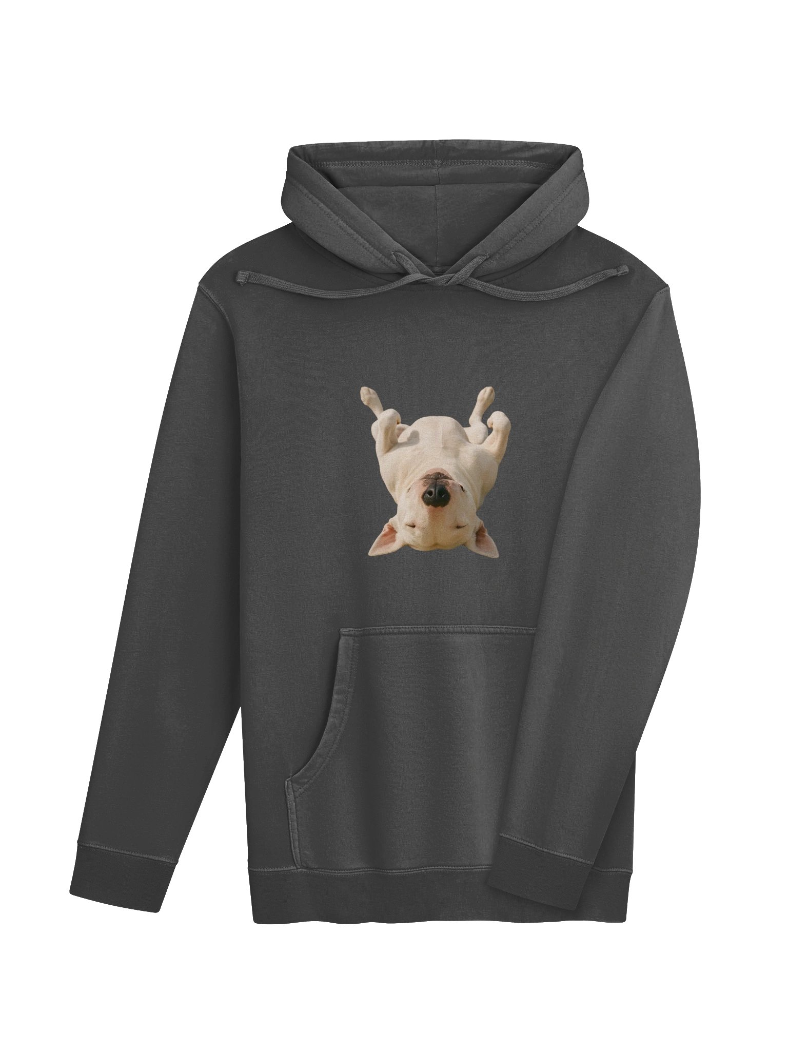 Bull Terrier TOP MODEL Absolute Ease! product image (4)