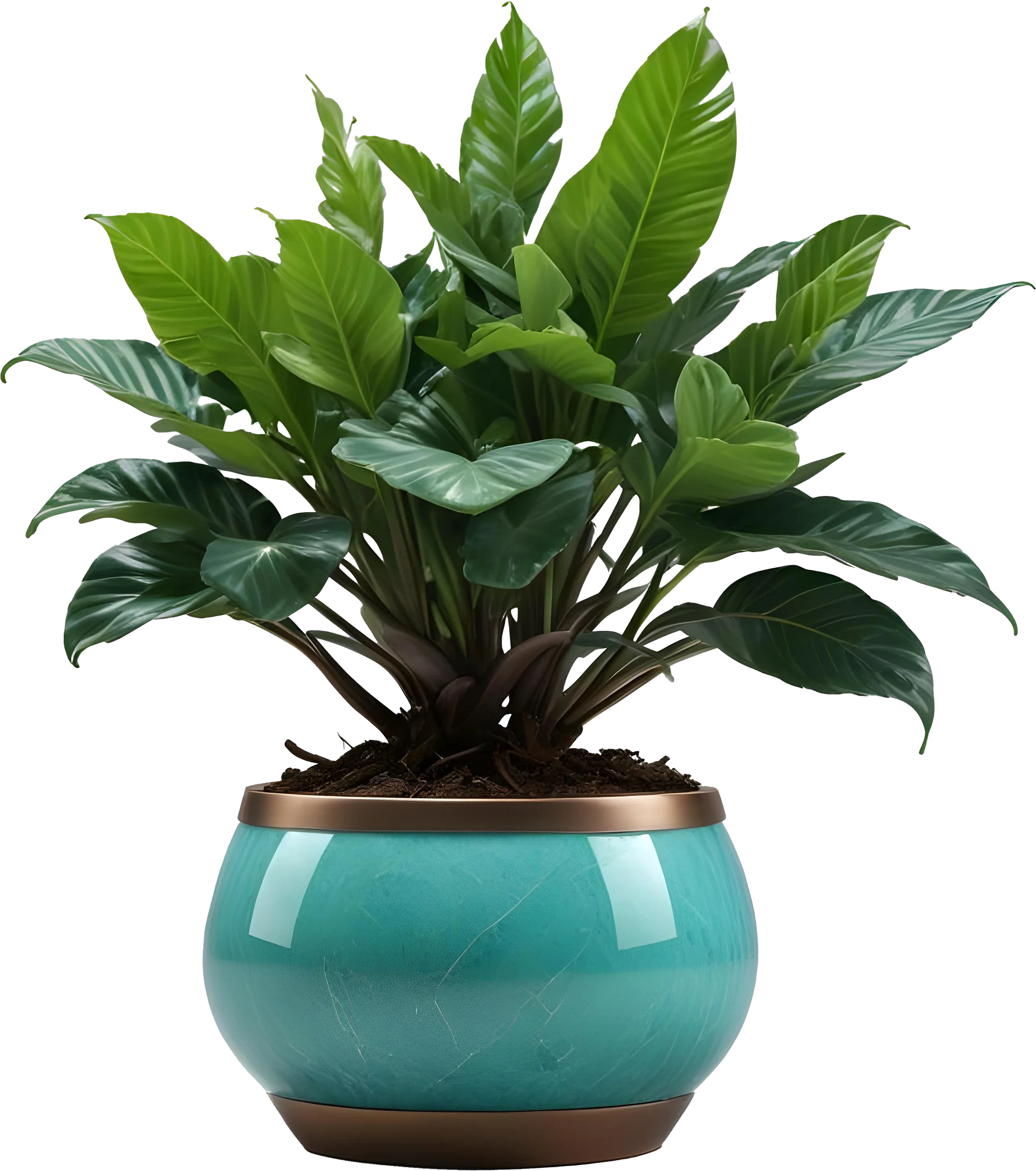 Jade Signature – Round Jade Planter PNG product image (1)