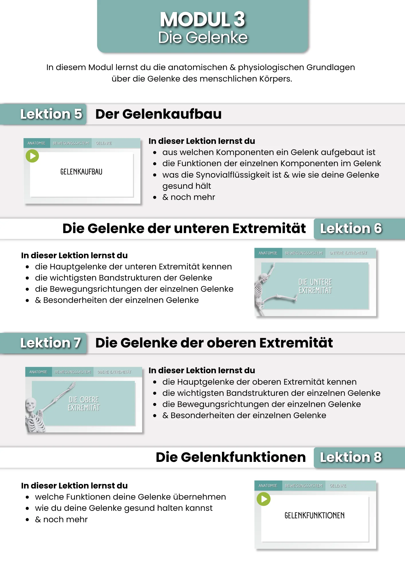 Das Bewegungssystem | der Grundlagenkurs product image (5)