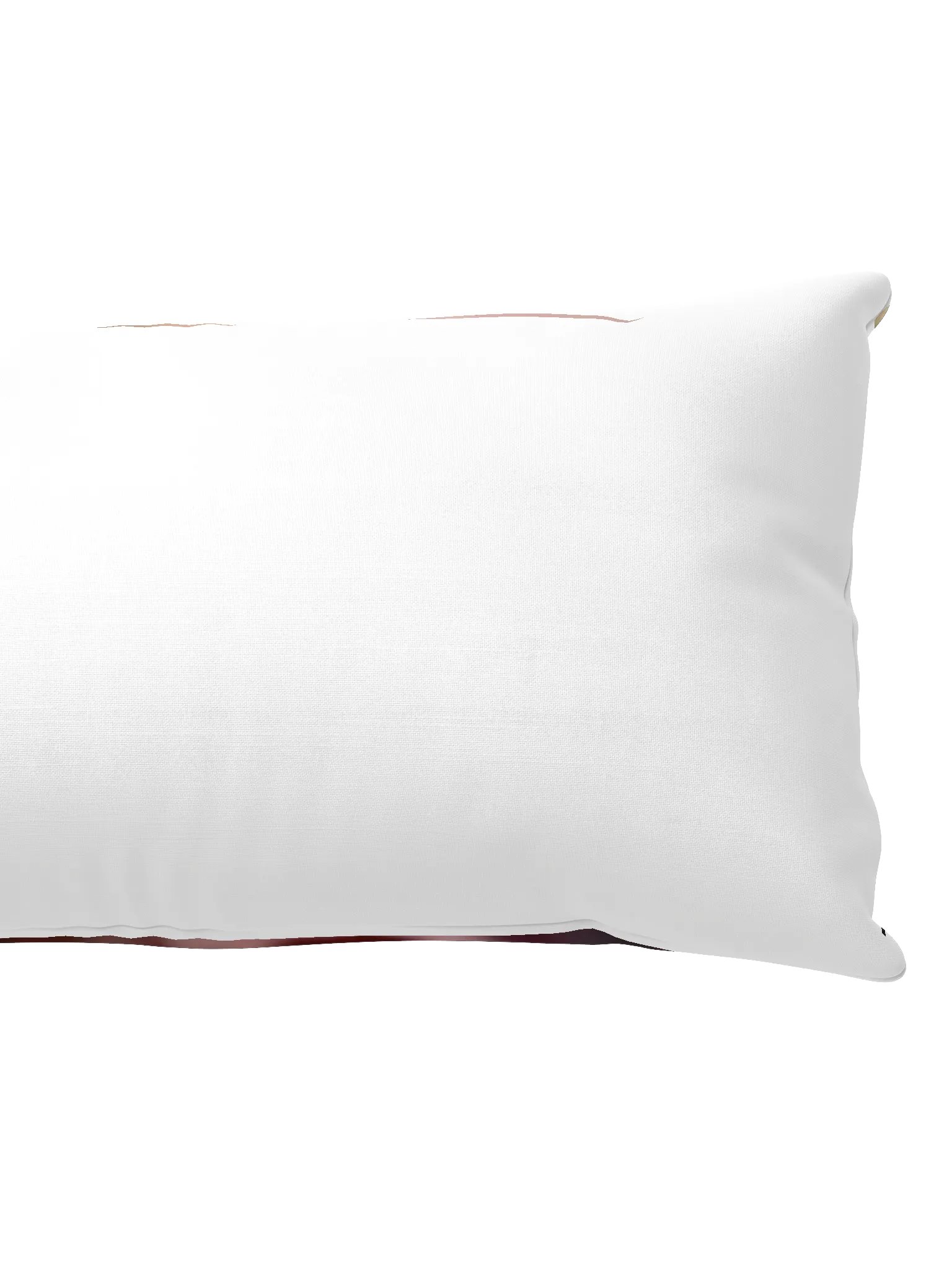 BRAN POG Cursed Pillow product image (2)