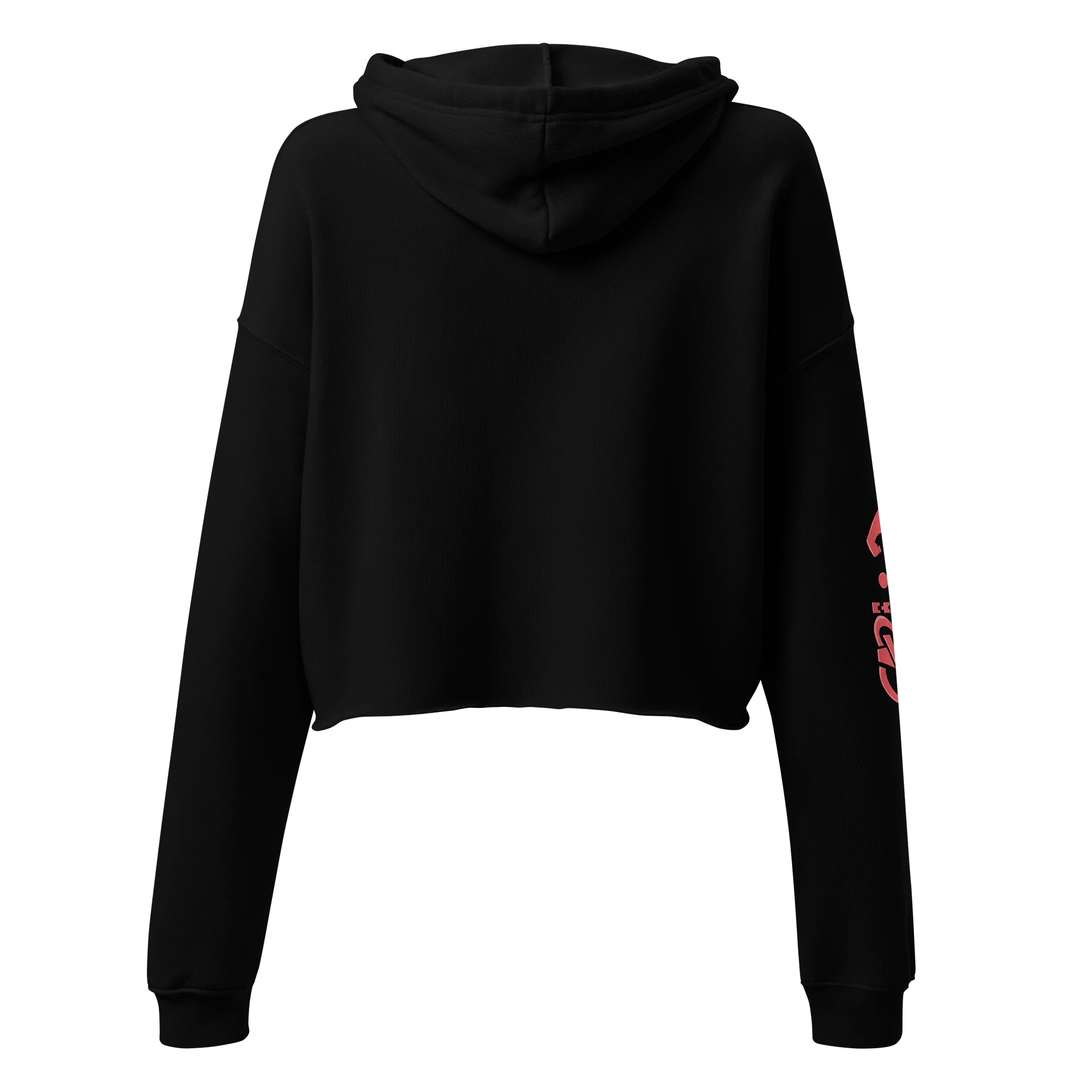The Abled cropped hoodie product image (4)