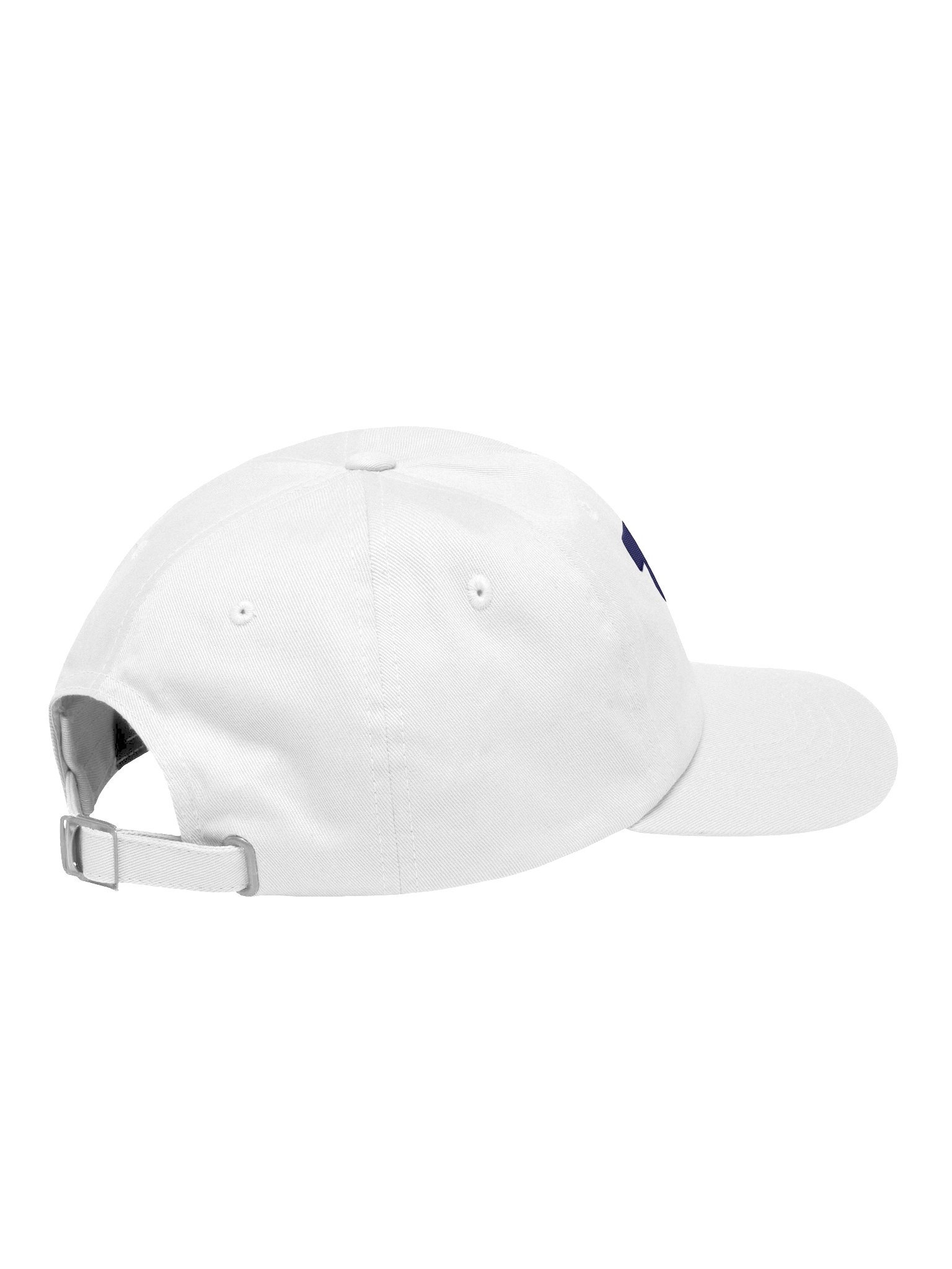 Modern TMPC Logo Hat product image (4)
