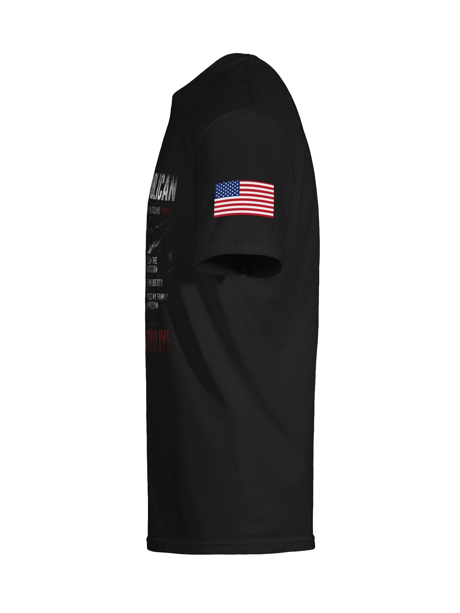 Constitutional Conservative product image (9)