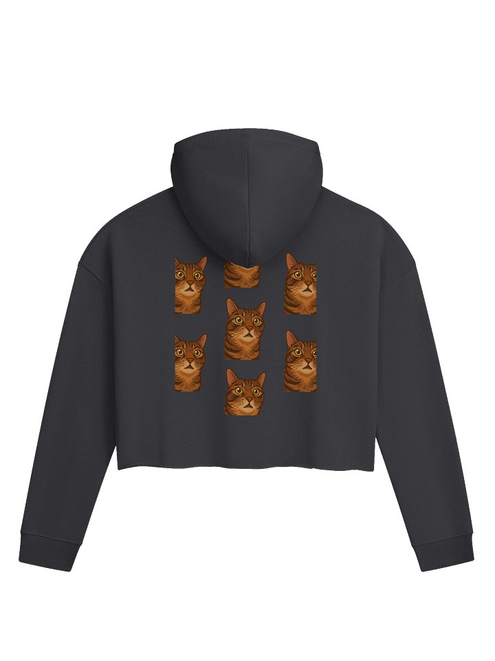 Willow crop top product image (12)