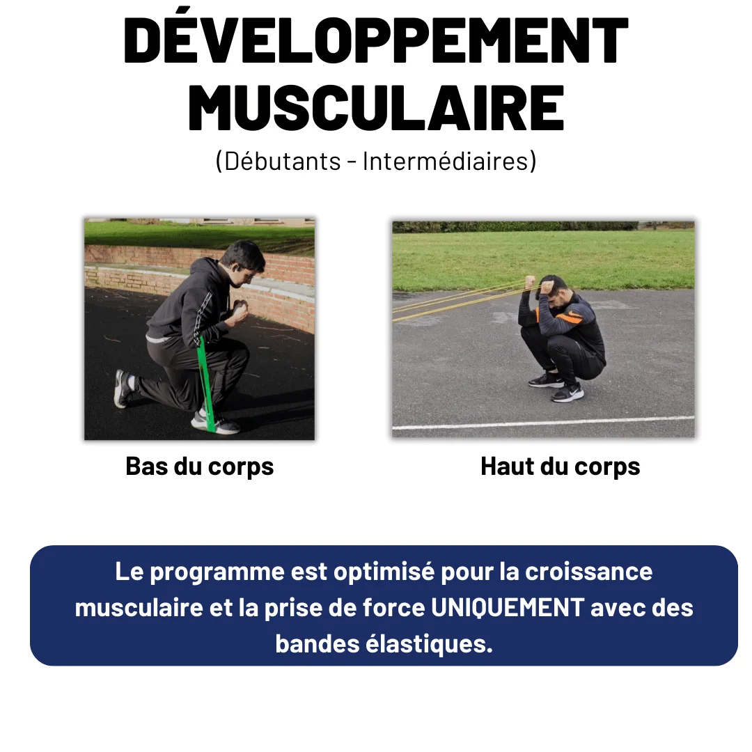 [Programme] Le système Balèze aux Élastiques product image (2)
