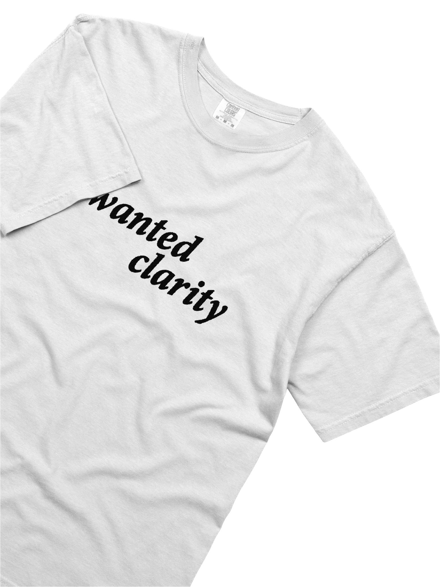 i wanted clarity embroidered tee product image (7)