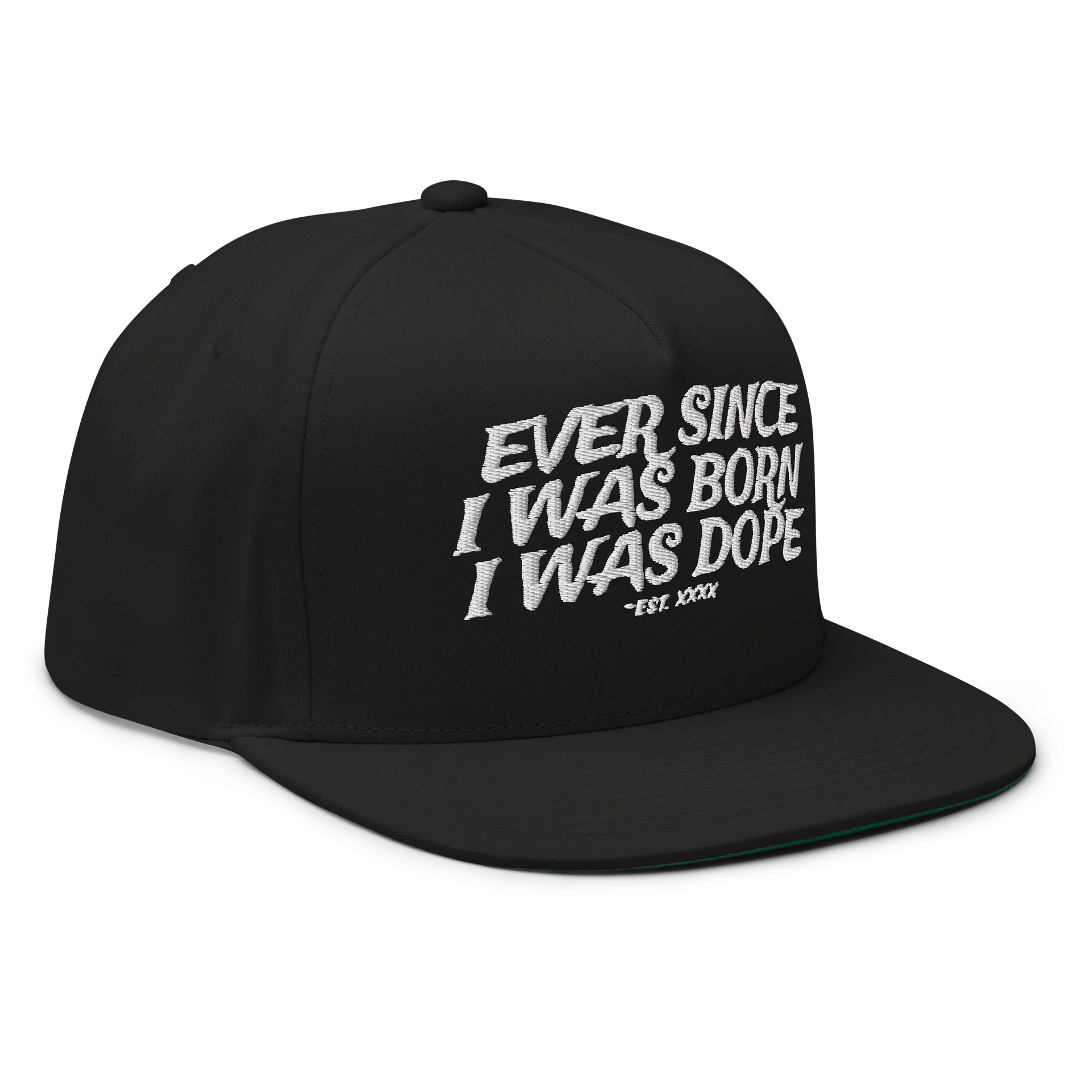 EVER SINCE - Embroidered SnapBack Flatbill product image (3)