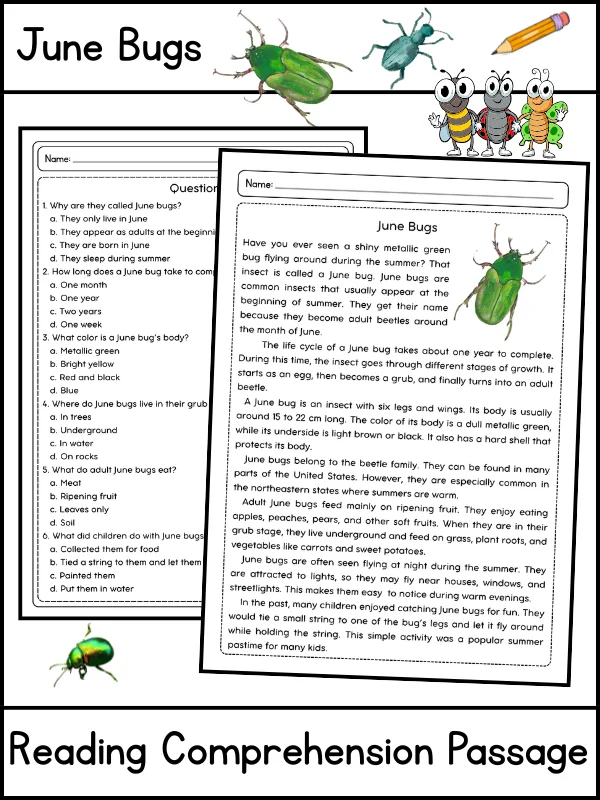 June Bugs Reading Comprehension Passage and Questions | Printable PDF product image (1)