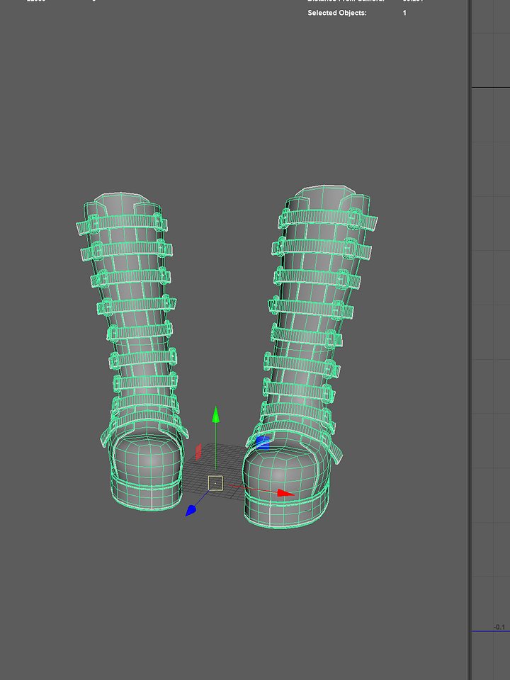 Tall boots product image (2)