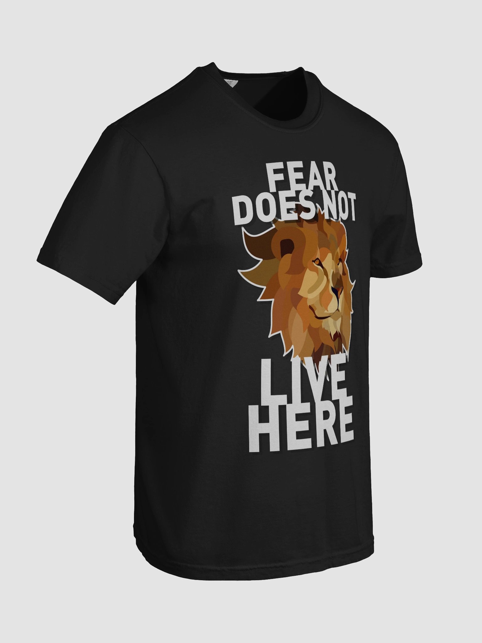 FEAR DOES NOT LIVE HERE product image (90)