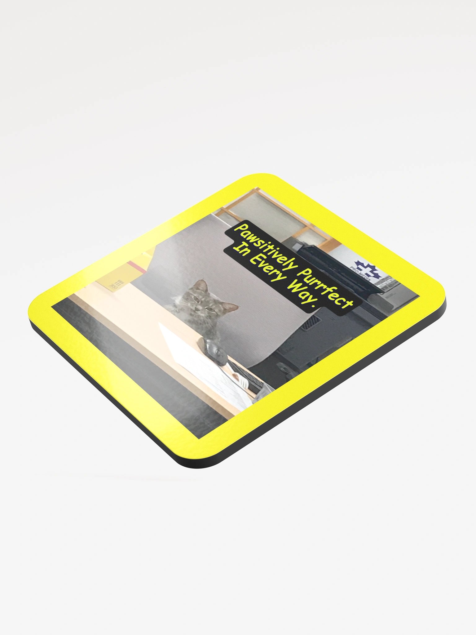 Pawsitively Purrfect Coaster Set product image (3)
