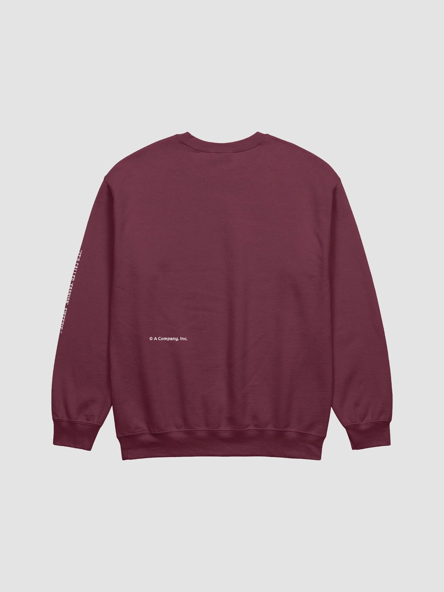 A Company University | White | Unisex Sweater product image (15)