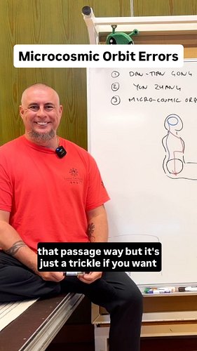 Microcosmic Orbit Misunderstandings

#microcosmicorbit #qigong #neidan