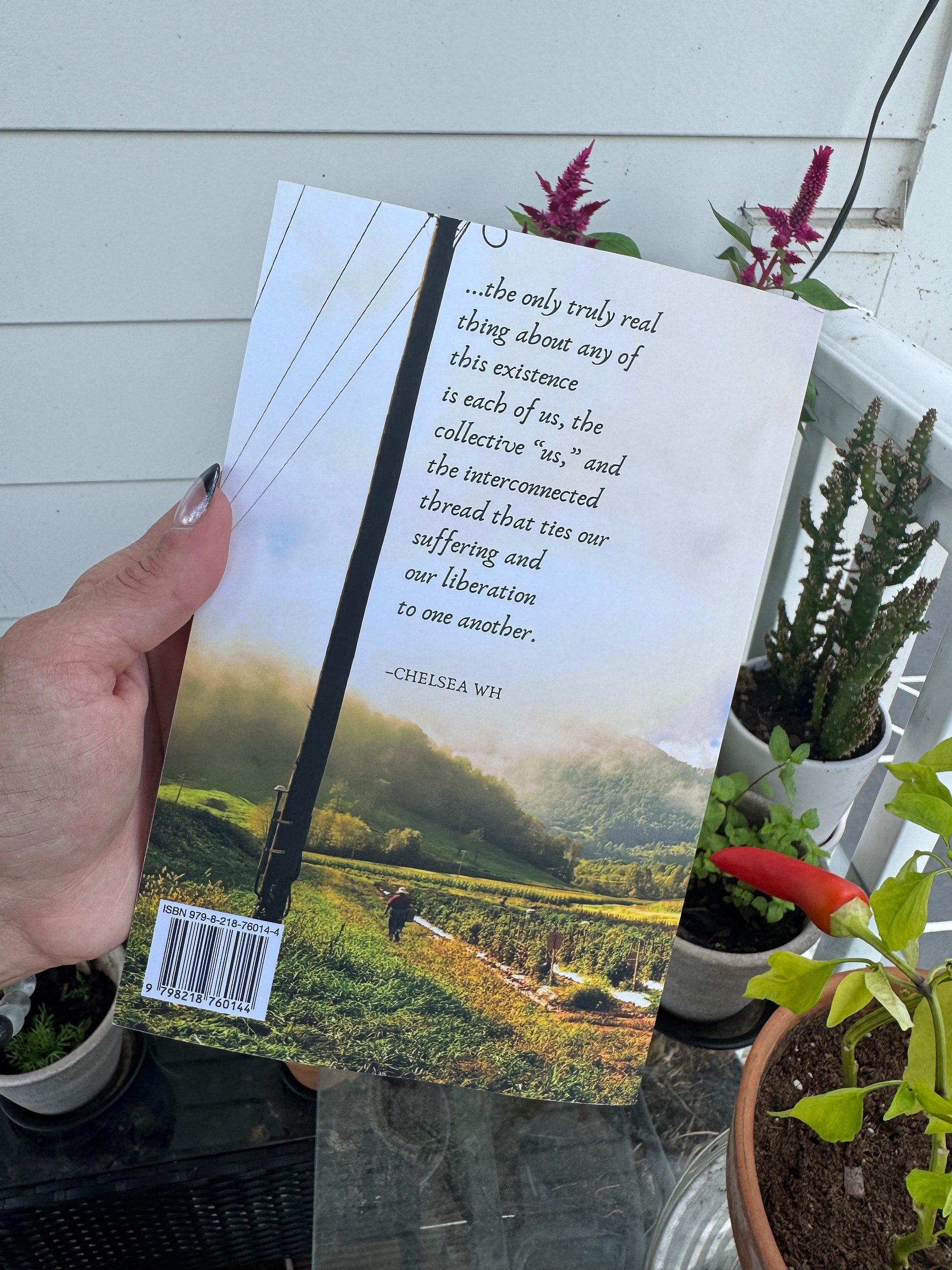 From the Holler to the Sea Anthology product image (5)