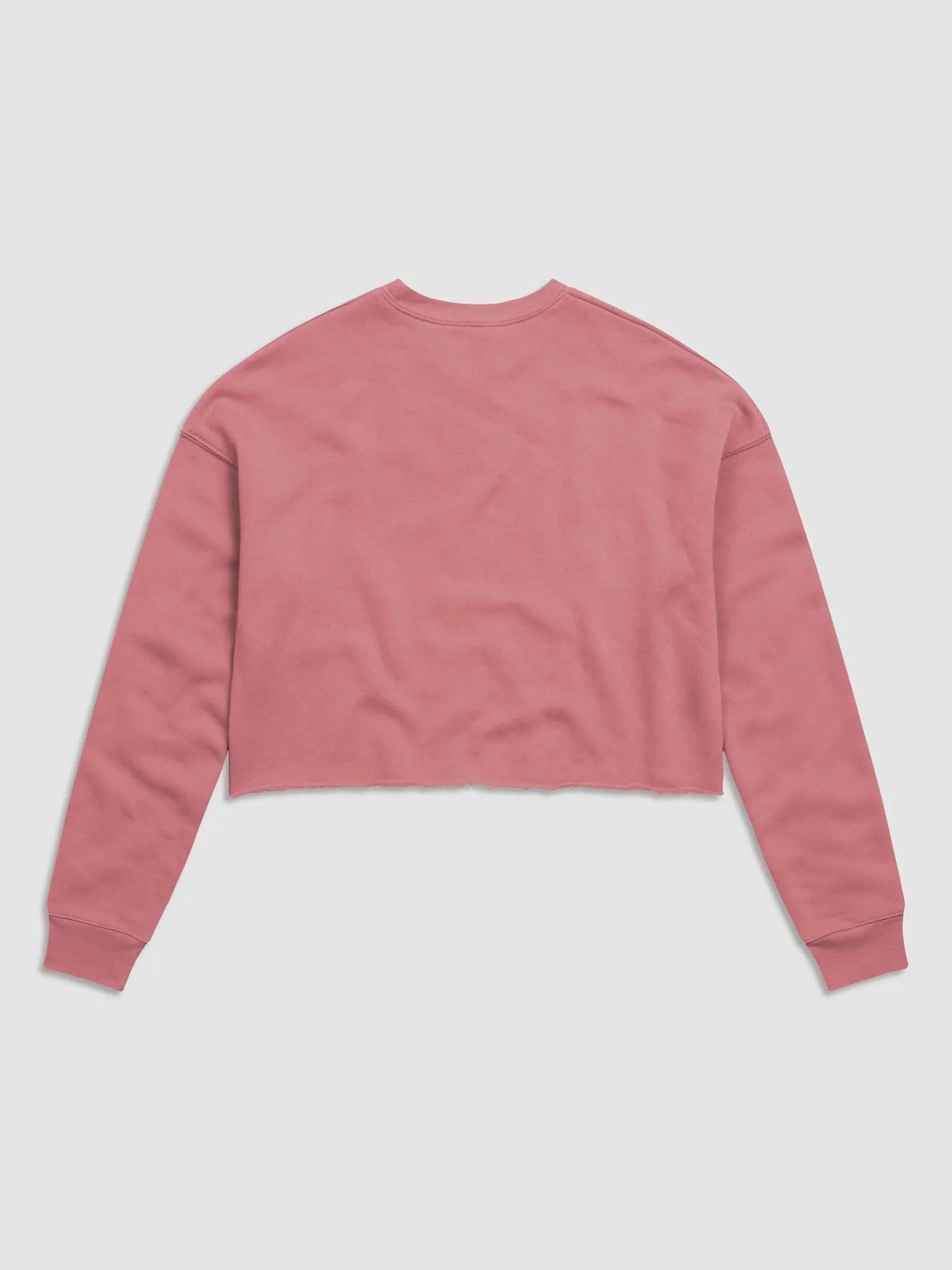 HeroUI Pink Hoddie product image (2)