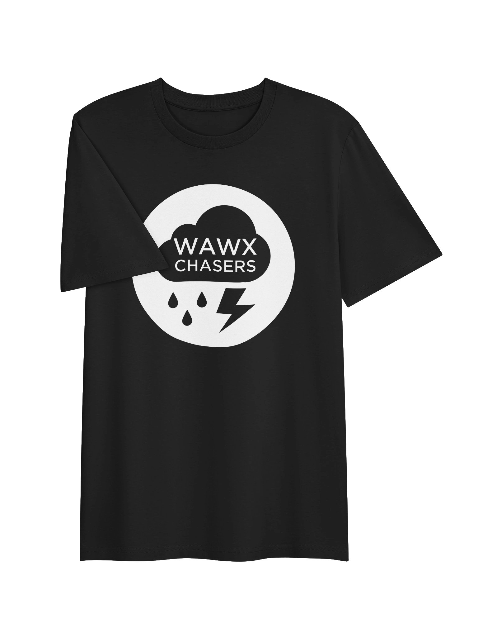 Evergreen Organic Logo Tee product image (3)