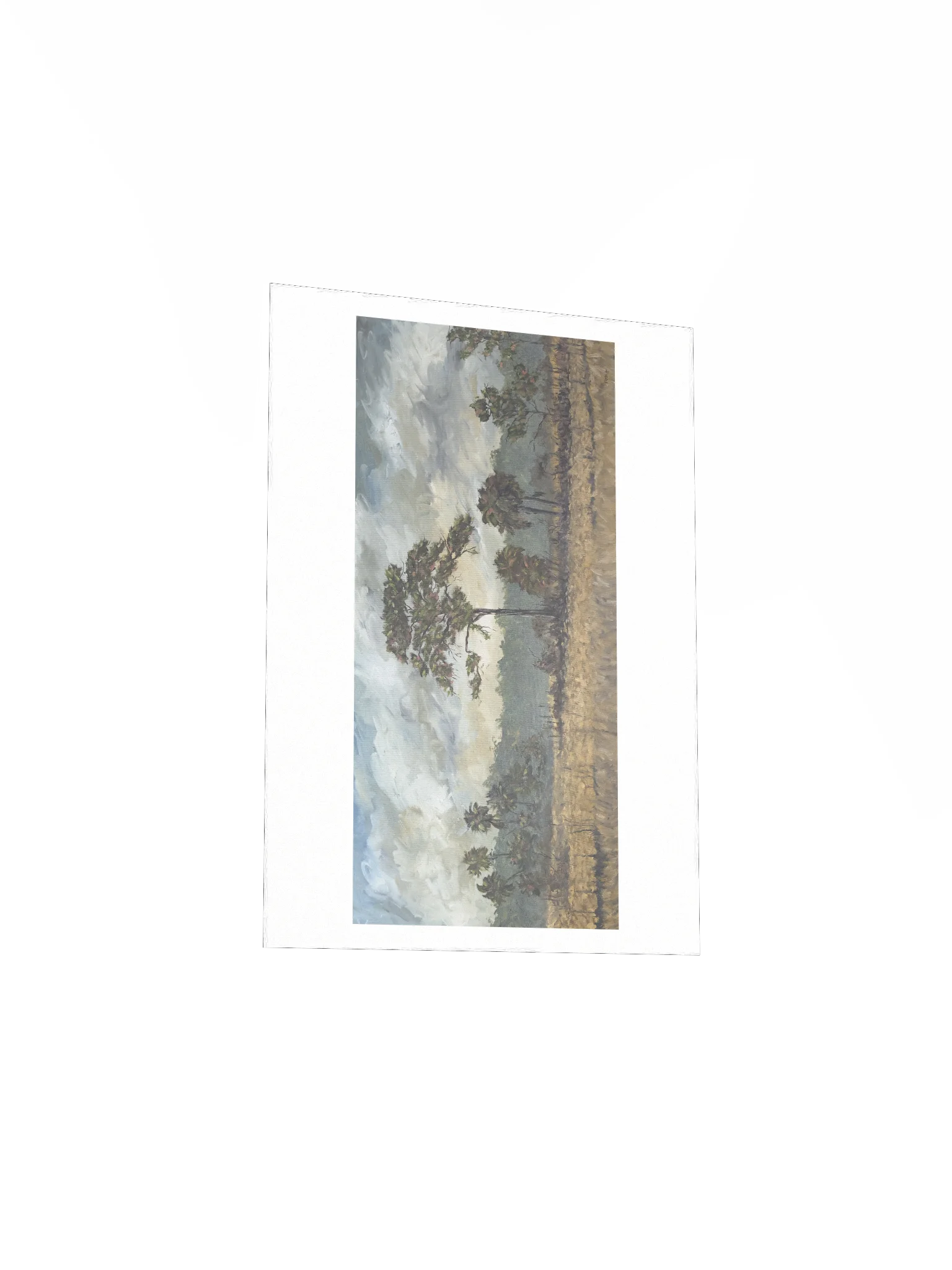 Big Cypress National Preserve Print product image (3)