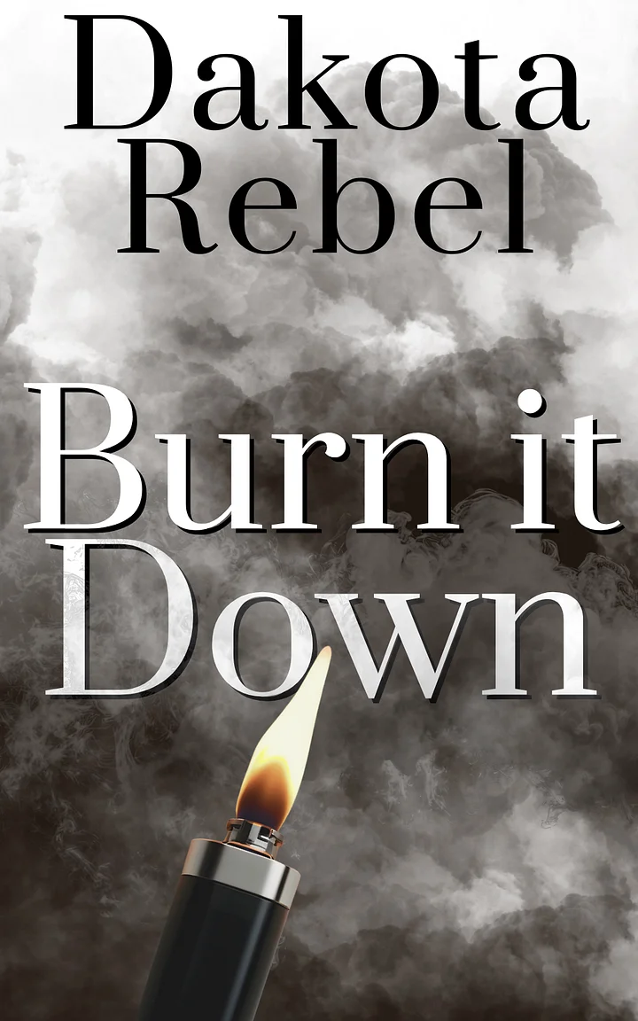 Burn It Down product image (1)