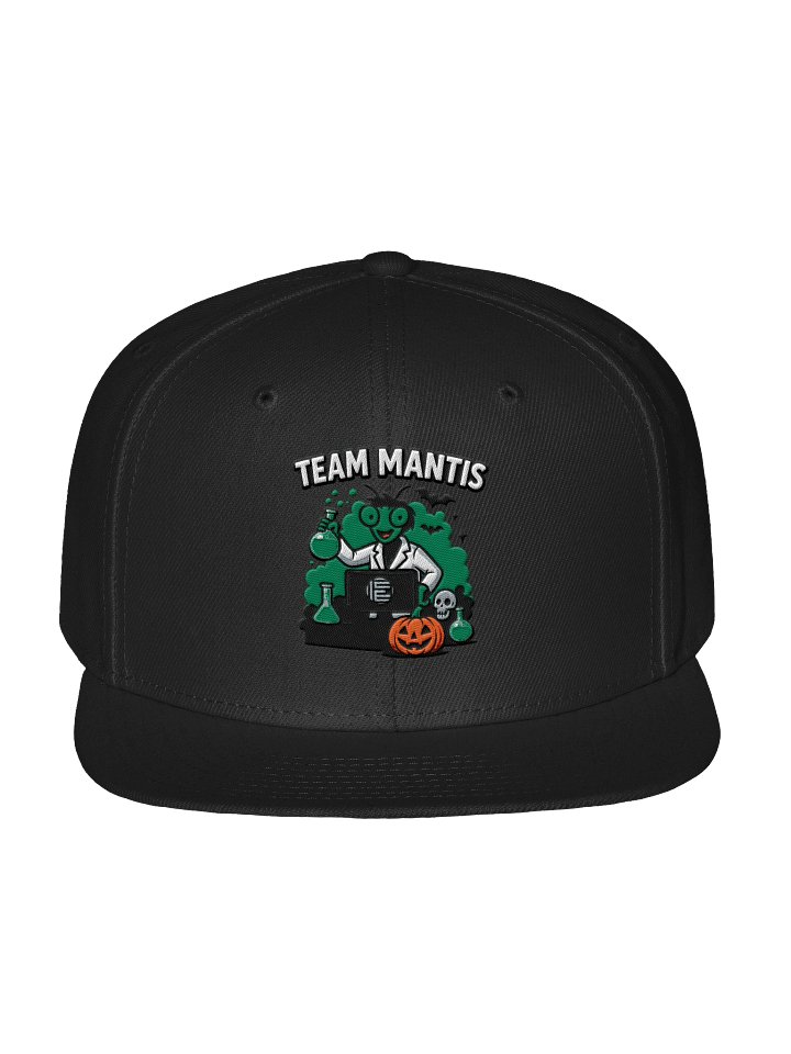 Wool Team Mantis Snapback Cap product image (3)