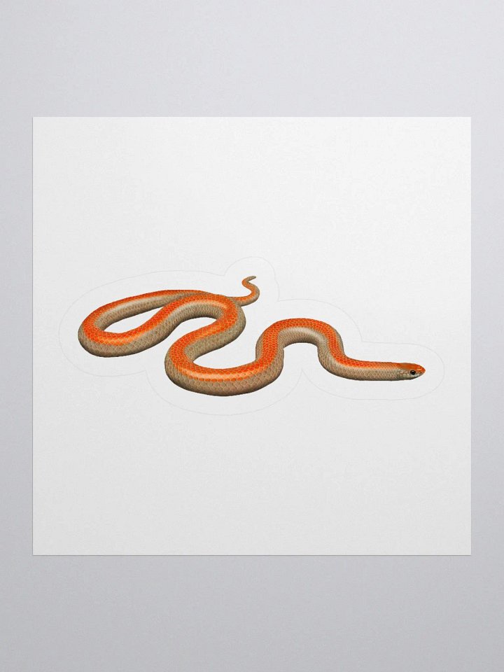 Die-Cut Sticker – Western Groundsnake (Striped) product image (1)