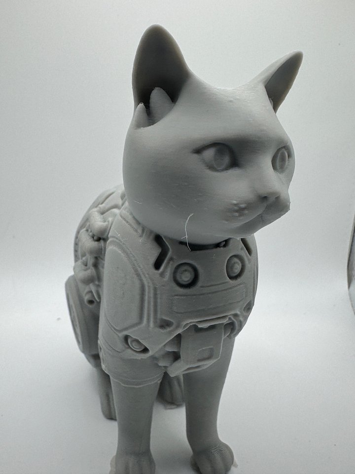 Cyber Cat product image (1)