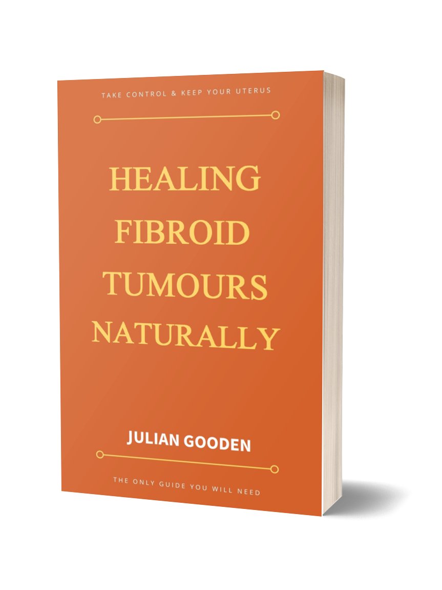 Healing Fibroid Tumours Naturally (Ebook) product image (1)