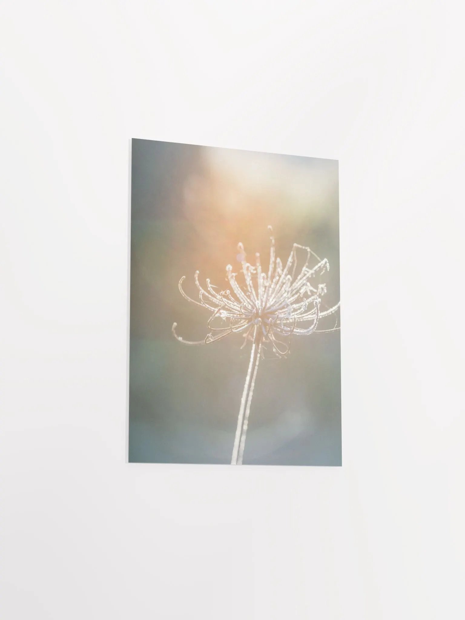 Dreaming product image (8)