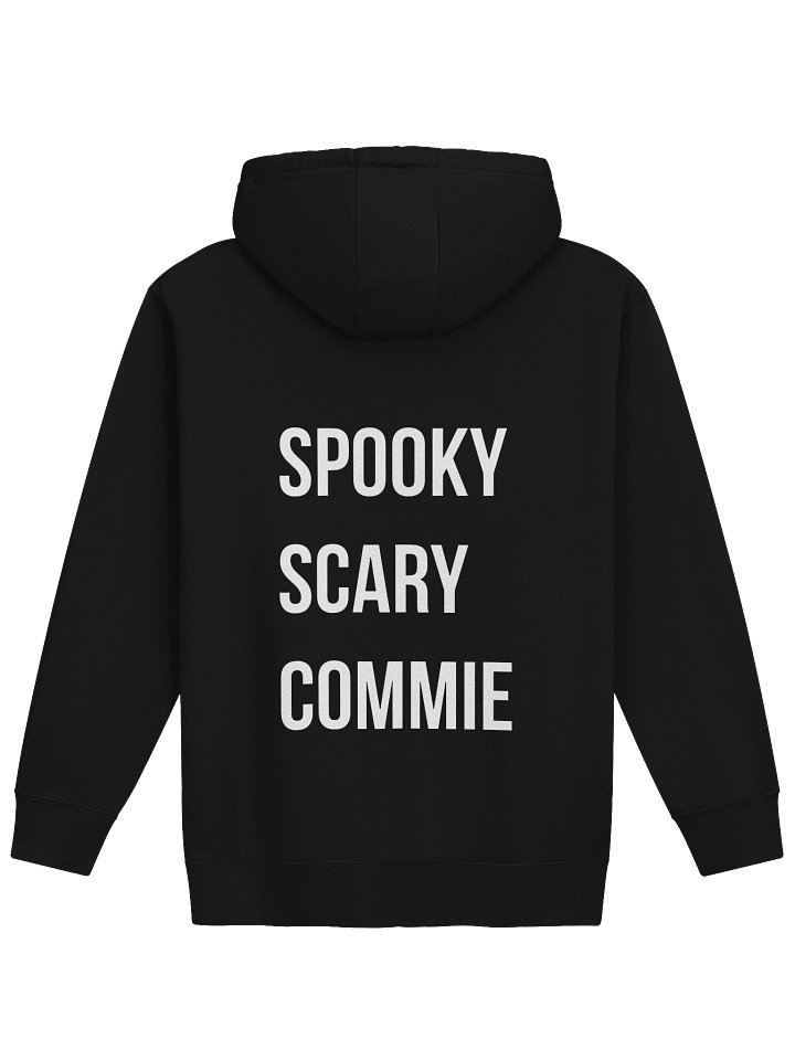 The New Red Scare- Hoodie product image (2)