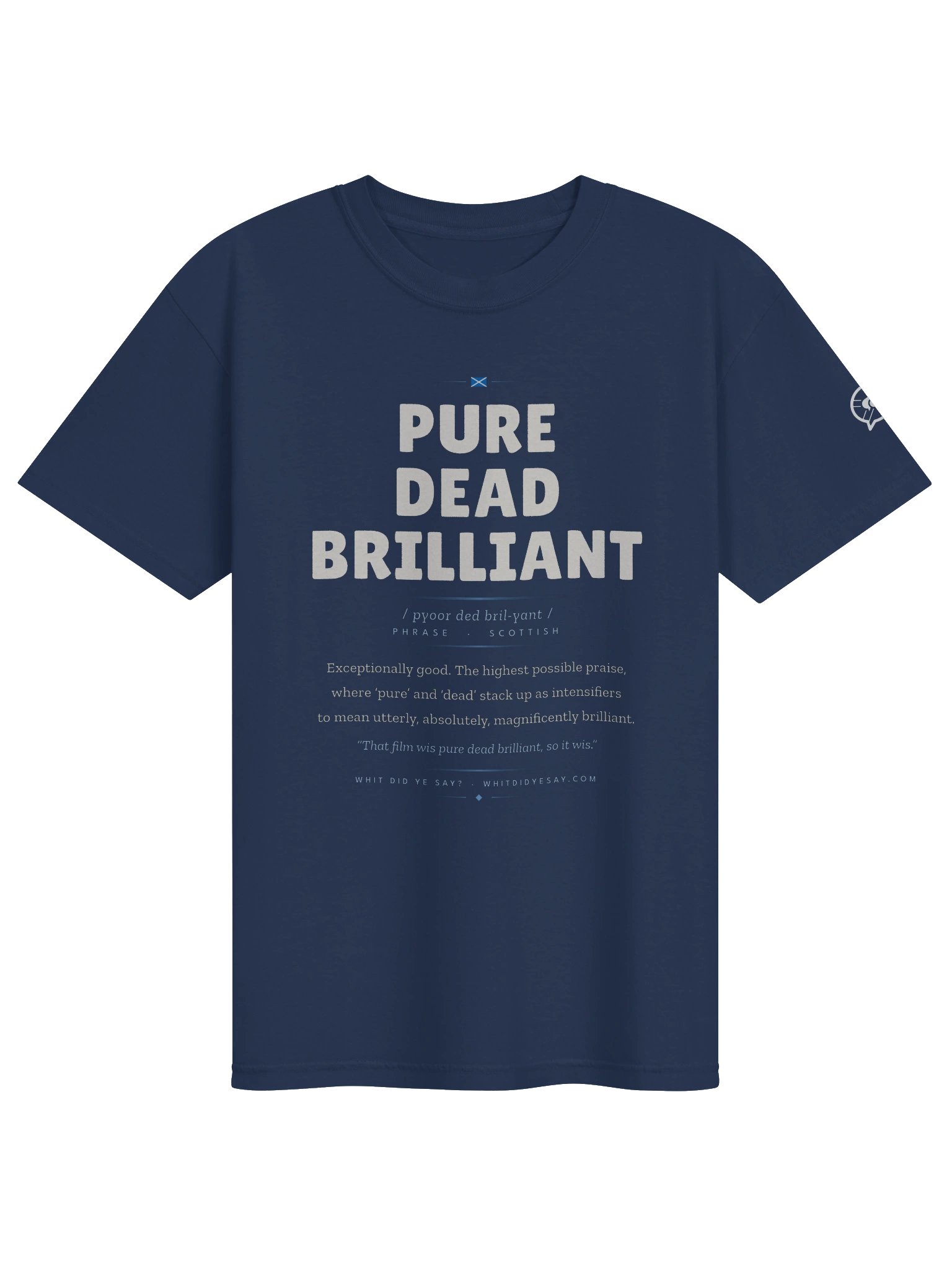 PURE DEAD BRILLIANT — The Dictionary Definition Tee product image (7)