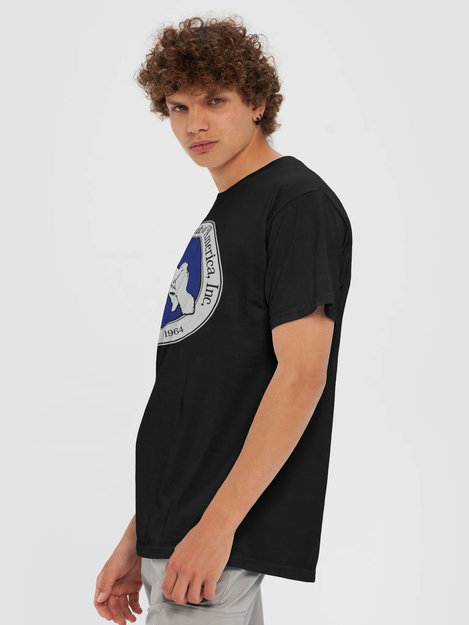 BFCA Heavyweight Tee - More Colors Available! product image (43)