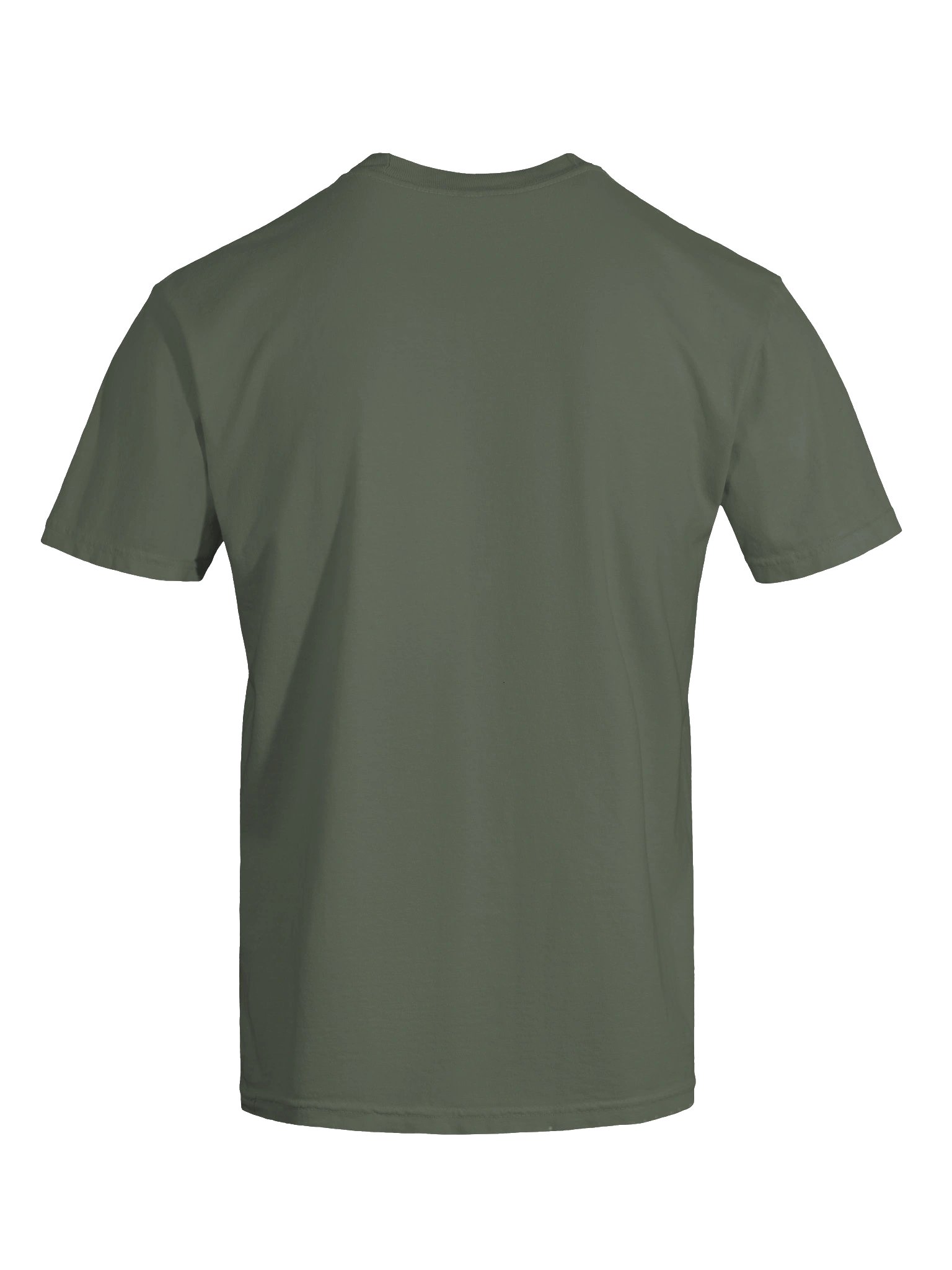 "The Delusion" // Heavyweight Tee product image (11)
