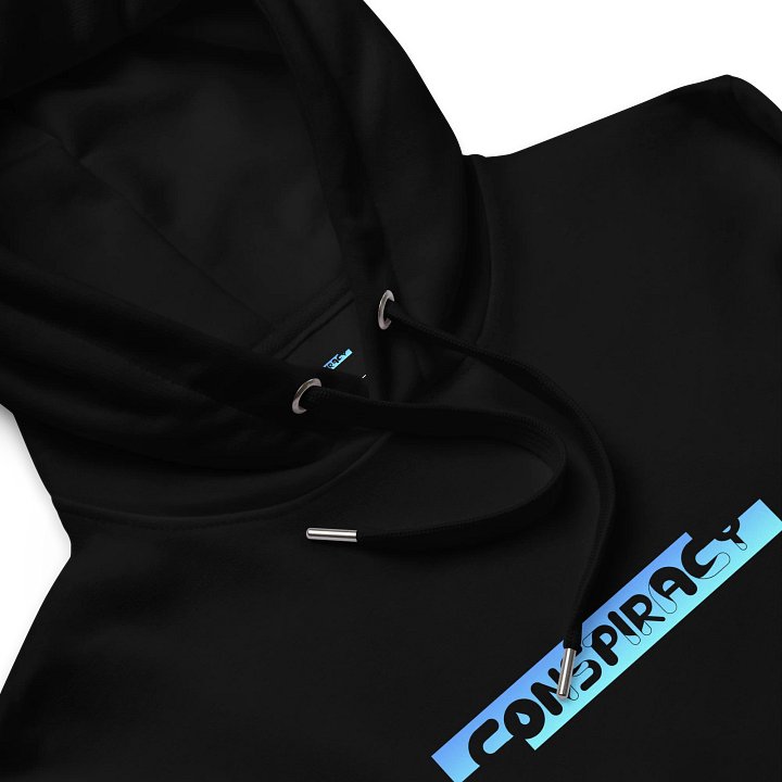 Conspiracy Hoodie product image (2)