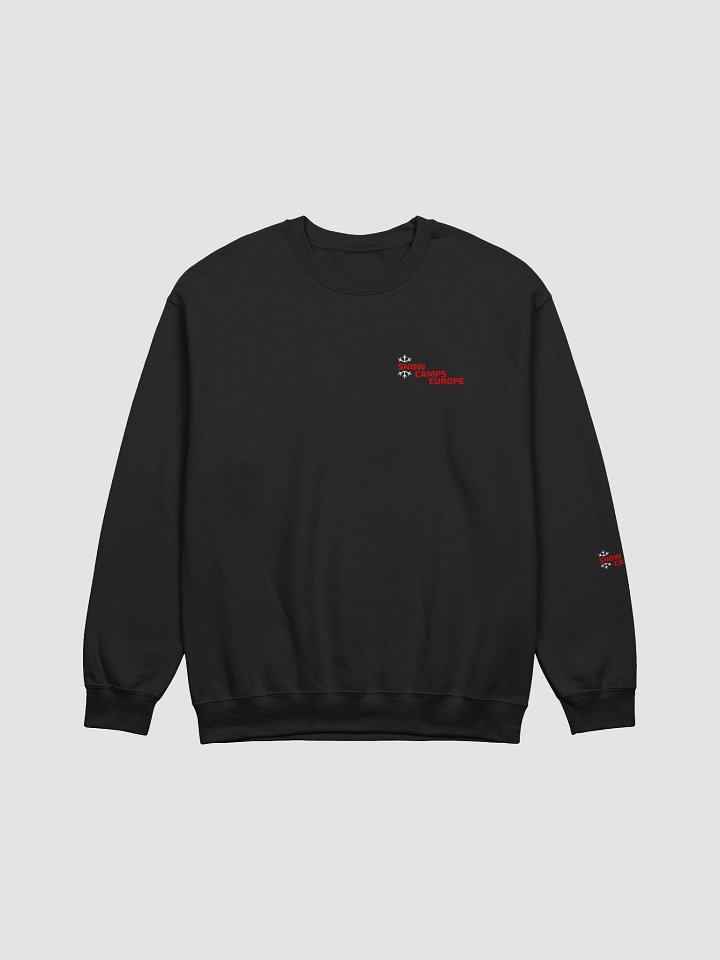 Fall. Learn. Repeat. Progress Sweater product image (1)