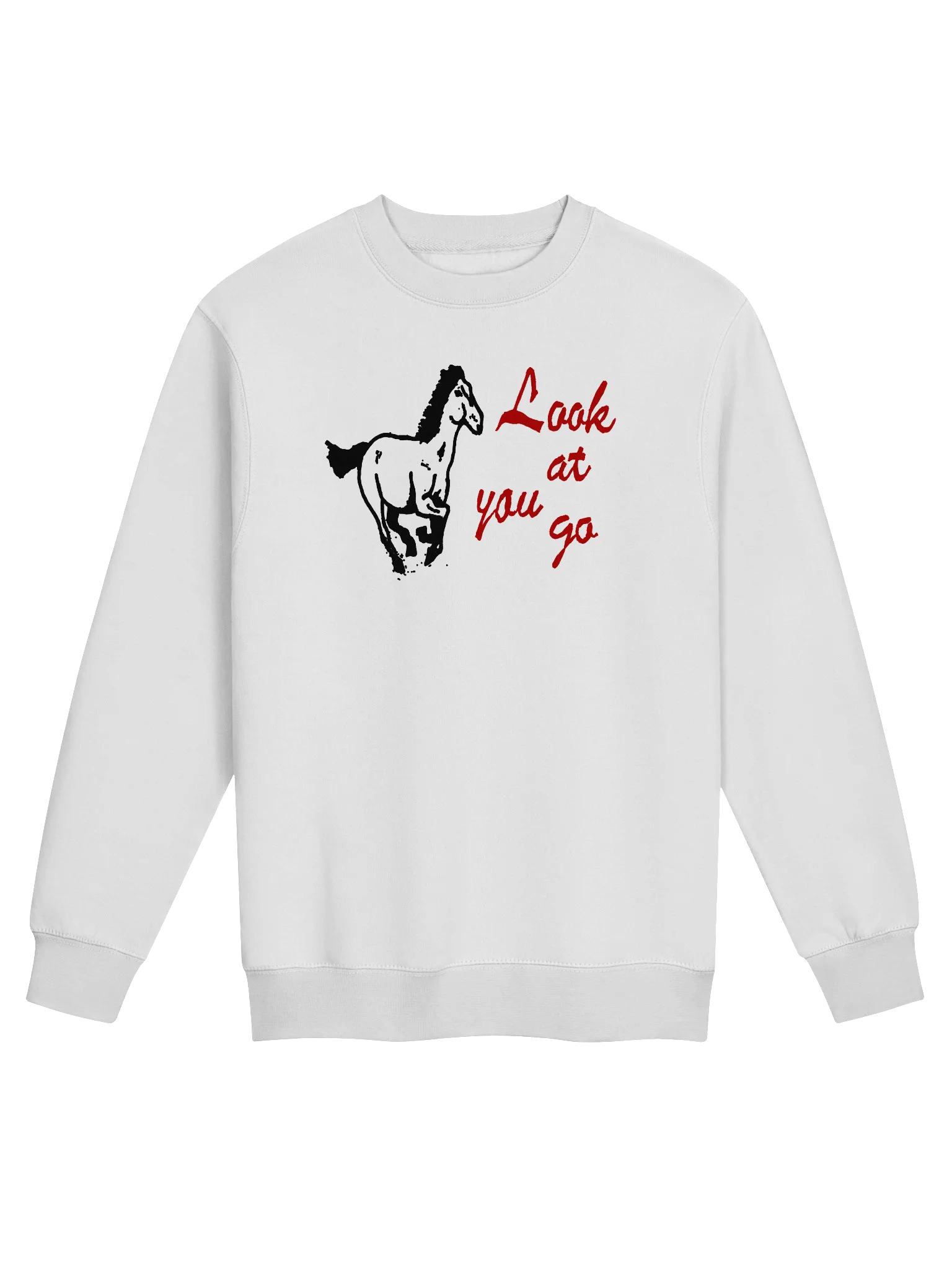 LOOK AT YOU GO SWEATSHIRT product image (1)