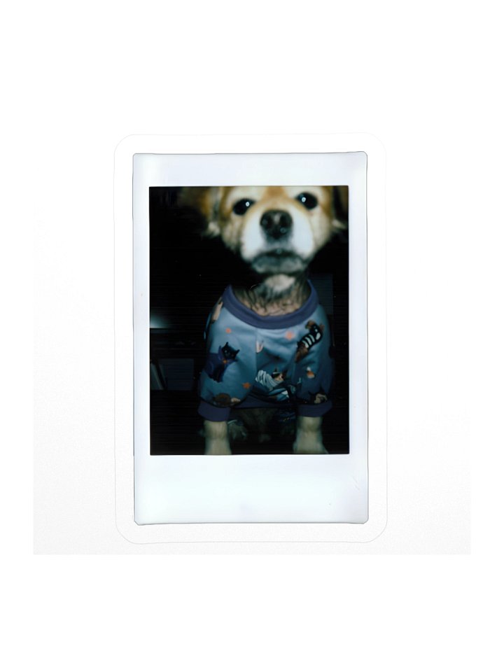 Polaroid C Sticker product image (1)