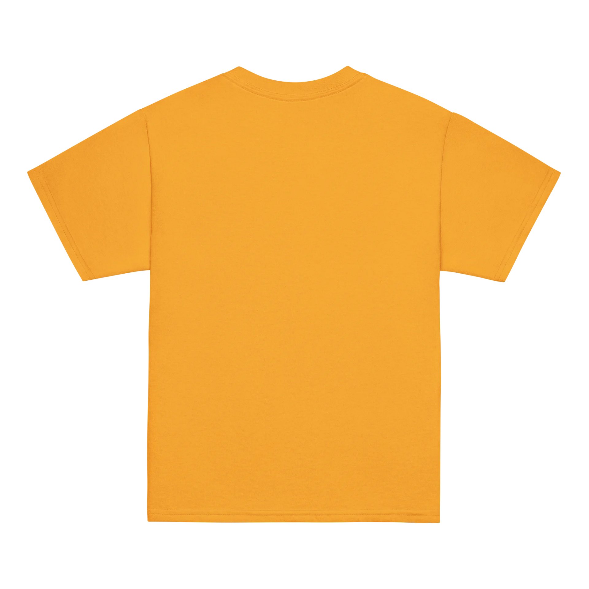 Short-term Memory Loss - Unisex Youth Heavyweight T-shirt product image (4)