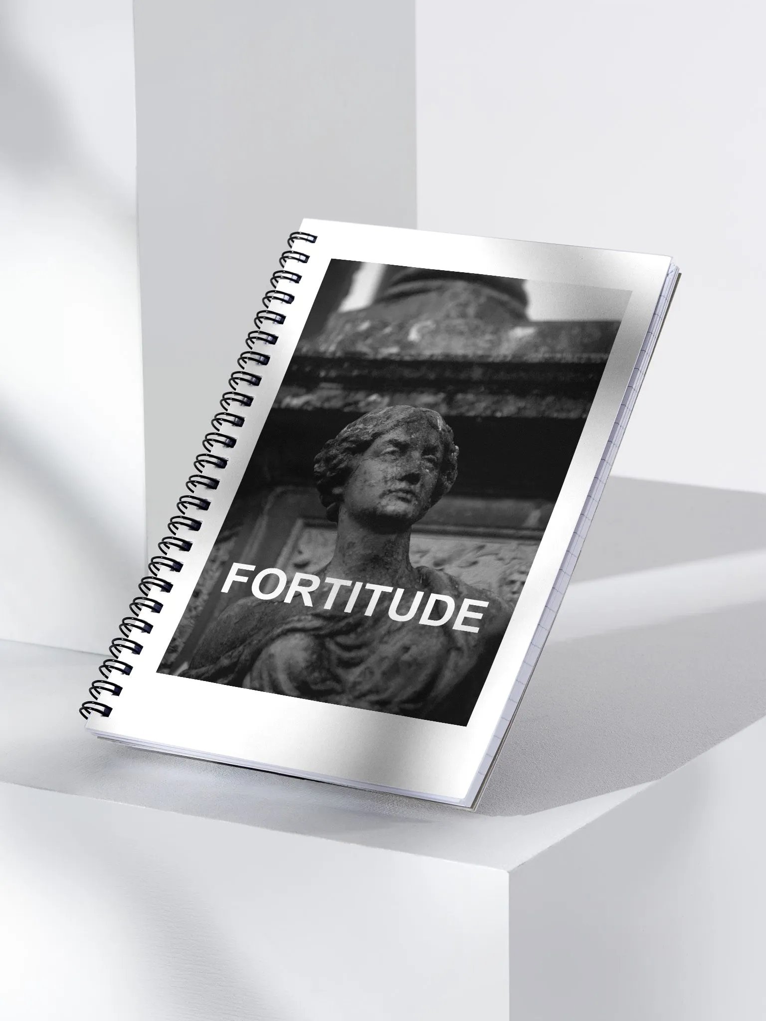 Notebook Fortitude product image (3)